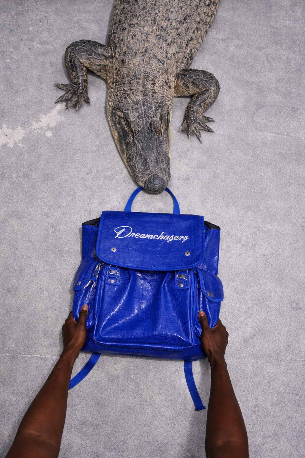 Alligator Leather Back Packs